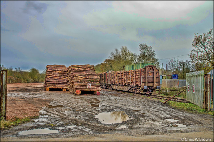 Teigngrace log loading point