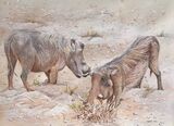 Snuffling Warthogs