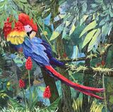 Scarlet Macaw at Corcovado