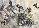 African Painted Dog