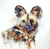 African Painted Dog 43x43cm
