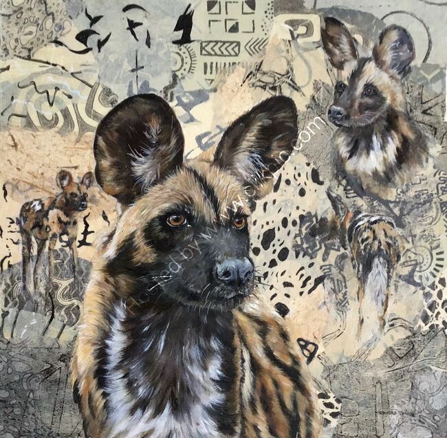 African Painted Dog at Manna Pools 2
