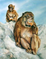 Let them eat bread 50x35cm