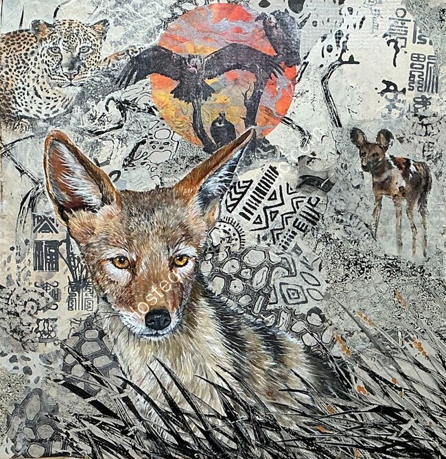 Blacked Backed Jackal