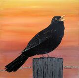 Blackbird Singing at the Break of Day