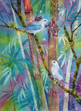 Blue Grey Tanagers 50x35cm