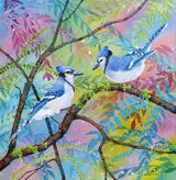 Blue Jay Pair
