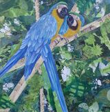 Blue Macaw Pair