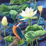 Kingfisher and Lotus