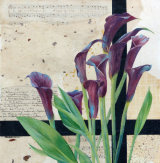 Calla Lillies 30cmx30cm