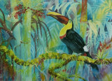 Chestnut-mandibled Toucan 50x50cm