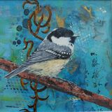 Coal Tit