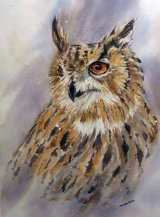 Eagle Owl Portrait 35x45cm approx