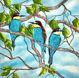 European Bee Eaters