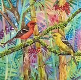 Birds