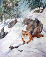 Great Falls Visitor 27x37cm