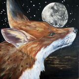 Fox at Night