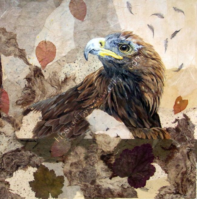Golden Eagle 65x45cm