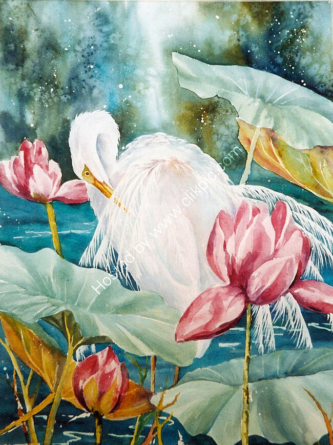 Great Egret & Lotus