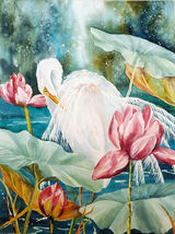 Great Egret & Lotus