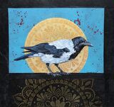 Hooded Crow