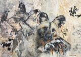 African Painted Dog