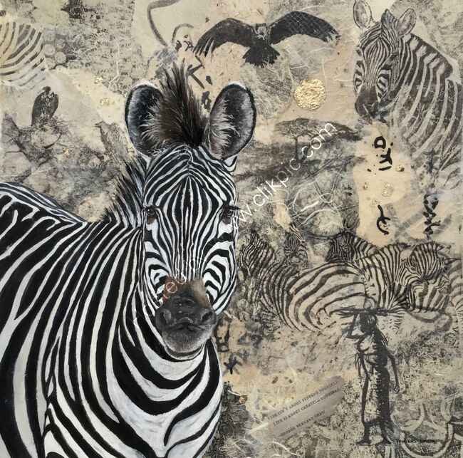 Crawshays Zebra Luangwa