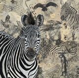 Crawshays Zebra Luangwa