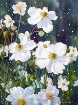 Japanese Anemones