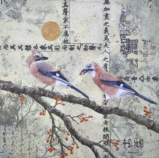 European Jays