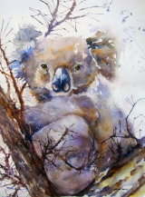 Koala 30cmx45cm