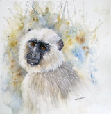 Langur 30cmx30cm