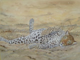 Lazing Leopard 30cmx40cm