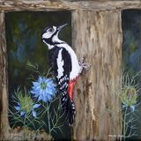 Lesser Spotted Woodpecker