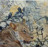 Lioness in Luangwa