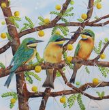 Little Bee Eaters
