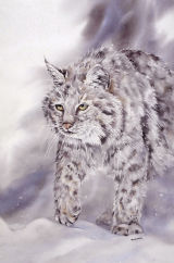 Out of the Snowstorm 50x35cm