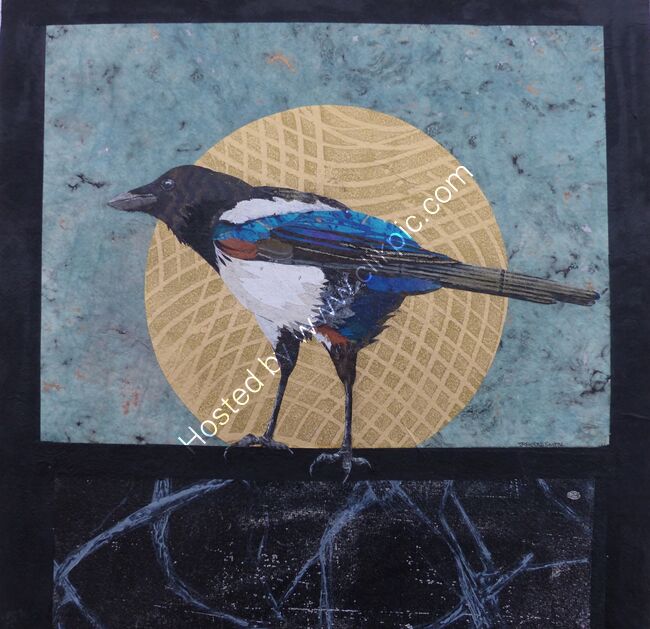 Magpie in the Sun