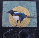 Magpie in the Sun