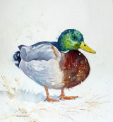 Mallard No.1