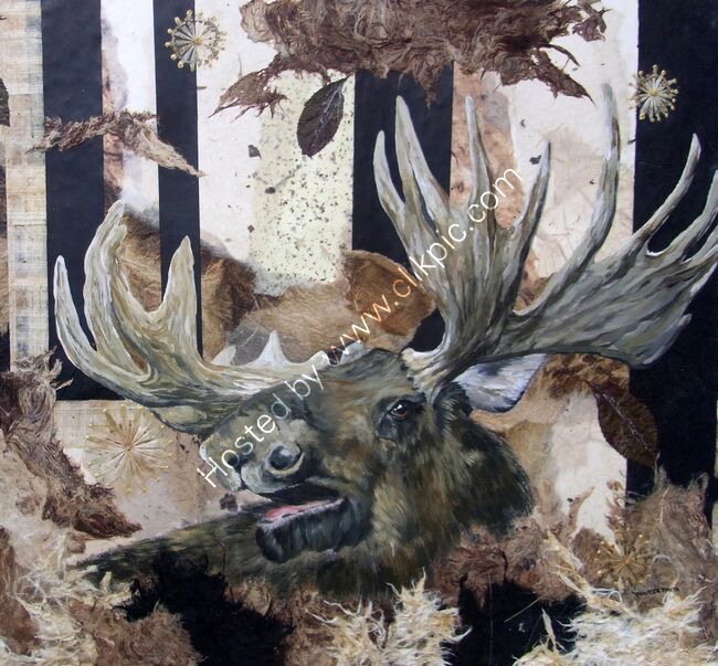 Moose 50x35cm
