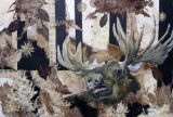 Moose 50x35cm