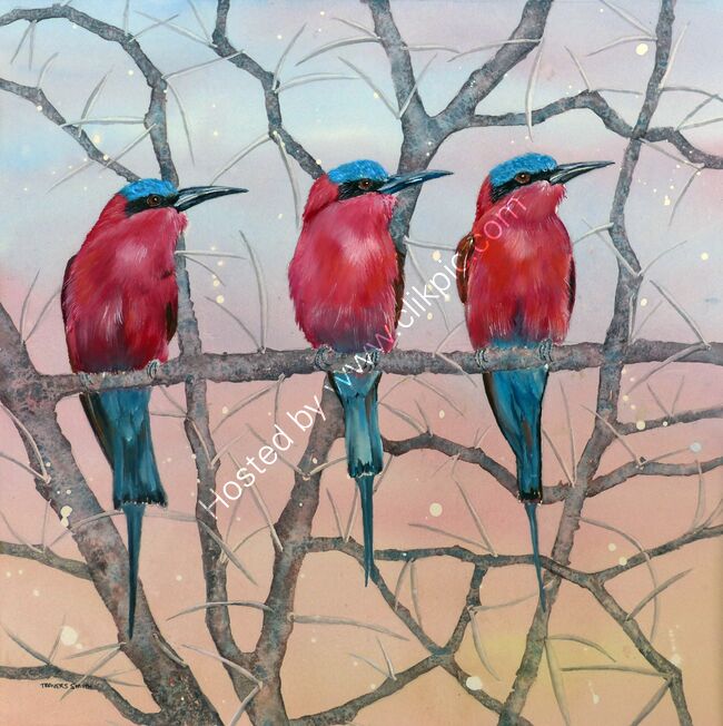 European Bee Eaters