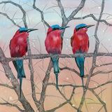 European Bee Eaters