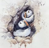 Puffins Nesting 30cmx30cm