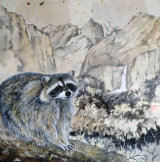 Racoon in Yosemite