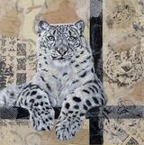 Snow Leopard