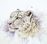 Snow Leopard 50cmx50cm