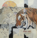 Tiger at Bandgevagh 50cmx50cm