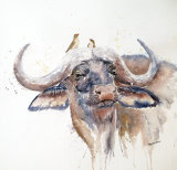 Waterbuffalo 50cmx50cm